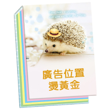 A10守护-100K精装便条纸(四色内页)【统义】